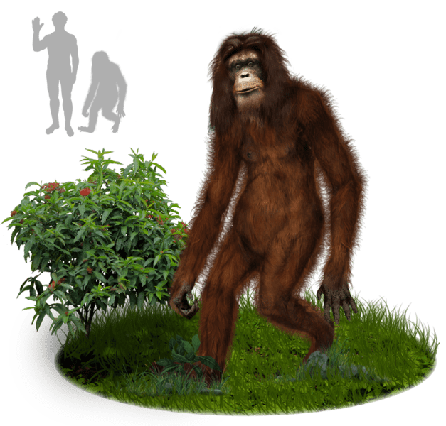 Orang Pendek